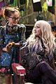 dove-wig