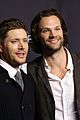 spn-paley
