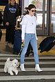 lucy-lax