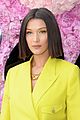 hadid-diorshow