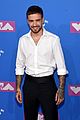 payne-vmas