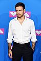 payne-vmas