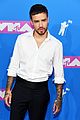 payne-vmas