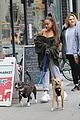 ariana-dog