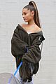 ariana-dog