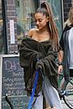 ariana-dog