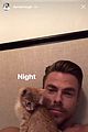 erbert-cat