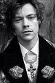 harry-gucci
