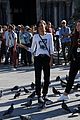holland-pigeons