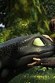 stoick-hiccup