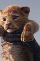 lion-trailer