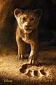 lion-trailer