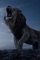 lion-trailer