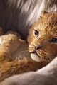lion-trailer
