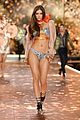 palvin-vsshow2