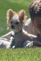 justin-oscar