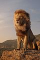 lion-trailer