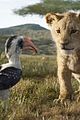 lion-trailer