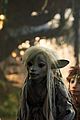 dark-crystal