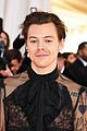 harry-met