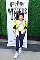 ally-wizards