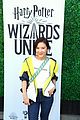 ally-wizards
