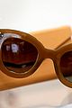 petsch-sunglasses