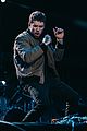 payne-brazil