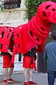 clifford-set