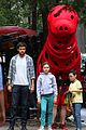 clifford-set