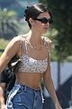 kendall-mid