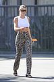 sofia-leopard