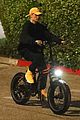 bieber-pets