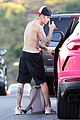 bieber-tree