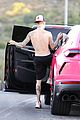 bieber-tree