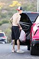 bieber-tree