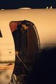 katy-flyin
