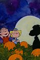 charlie-pumpkin