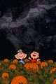 charlie-pumpkin