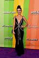 vic-amfar