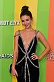 vic-amfar