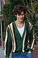 mendes-green