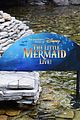mermaid-bts