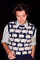 styles-sheep