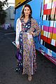 dove-missoni
