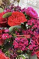swift-flowers