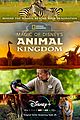 animal-kingdom