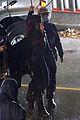 catwoman-set