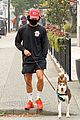 rvd-dogs