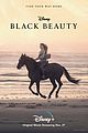 black-beauty-trailer